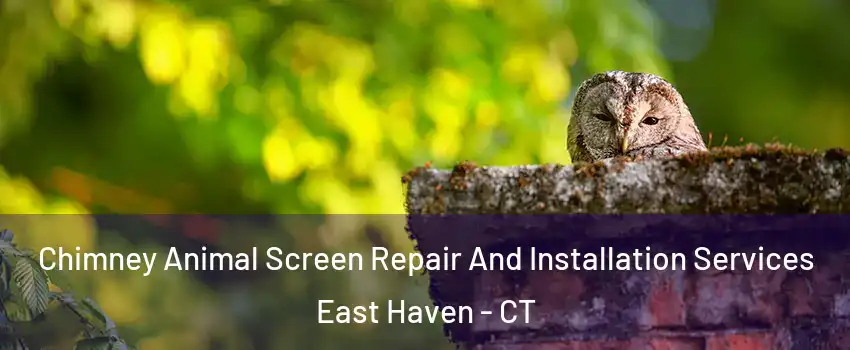  Chimney Animal Screen Repair And Installation Services East Haven - CT