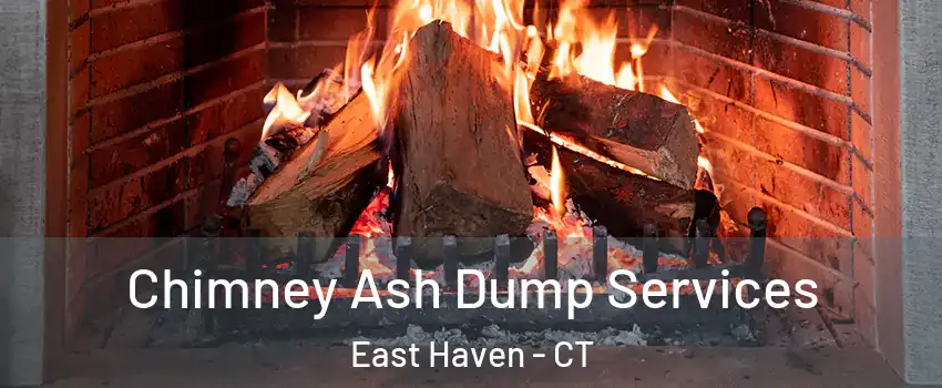  Chimney Ash Dump Services East Haven - CT