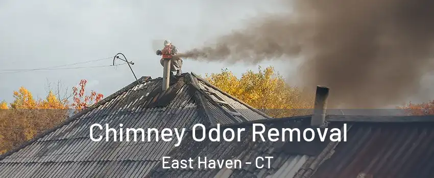  Chimney Odor Removal East Haven - CT