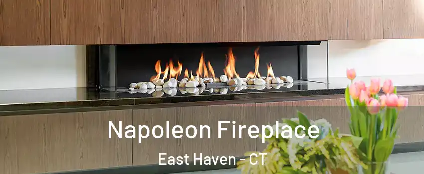  Napoleon Fireplace East Haven - CT