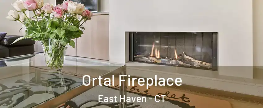  Ortal Fireplace East Haven - CT